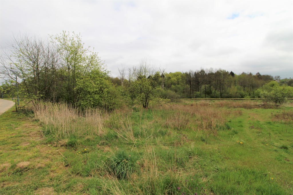 Działka na sprzedaż Kąkolewice 3 500 m2 | Arka Nieruchomości