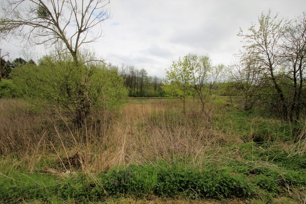 Działka na sprzedaż Kąkolewice 3 500 m2 | Arka Nieruchomości