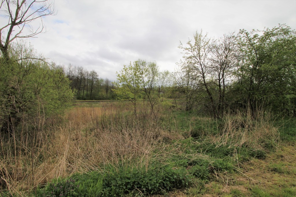 Działka na sprzedaż Kąkolewice 3 500 m2 | Arka Nieruchomości