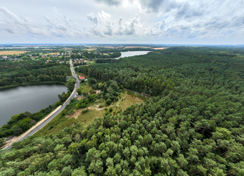 Działka na sprzedaż Kołczewo 1 776 m2 | Arka Nieruchomości