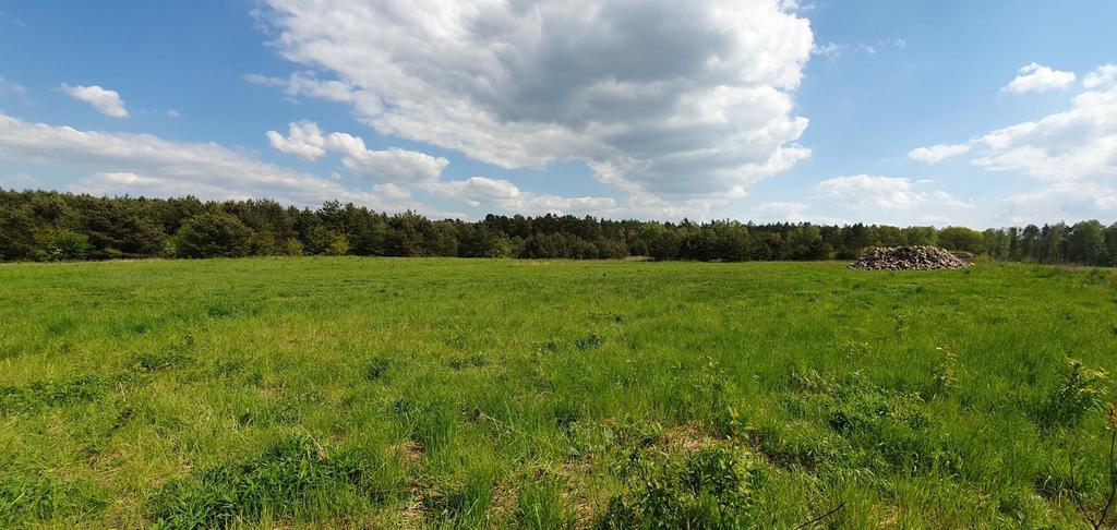 Działka na sprzedaż Marszewo 3 012 m2 | Arka Nieruchomości