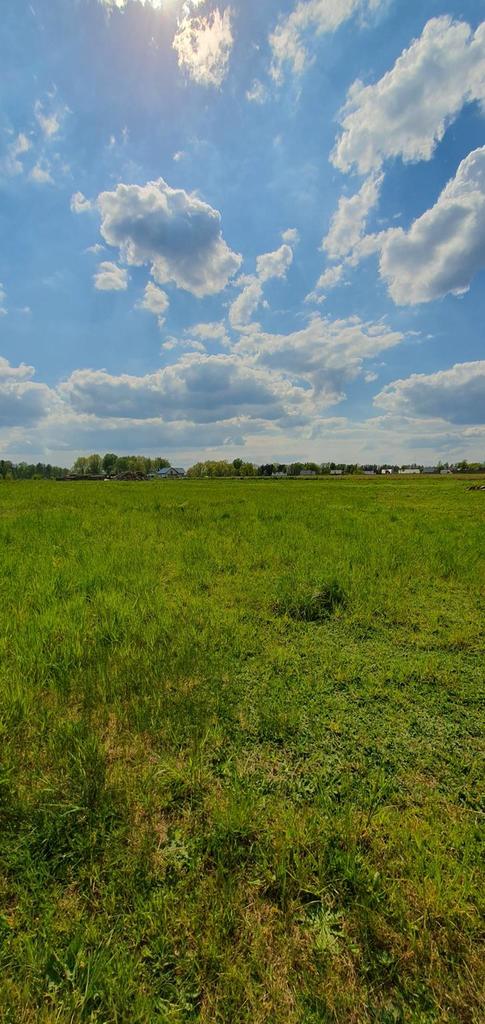 Działka na sprzedaż Marszewo 3 012 m2 | Arka Nieruchomości