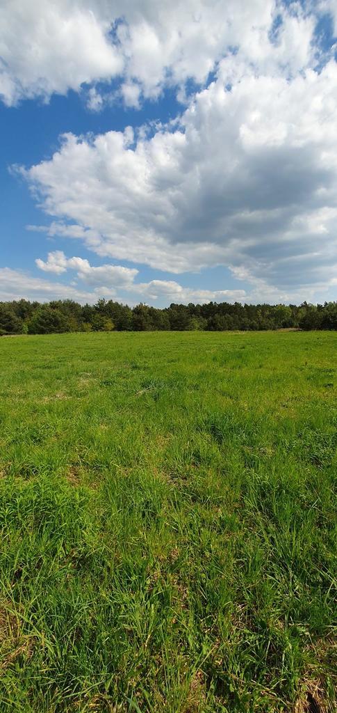 Działka na sprzedaż Marszewo 3 012 m2 | Arka Nieruchomości