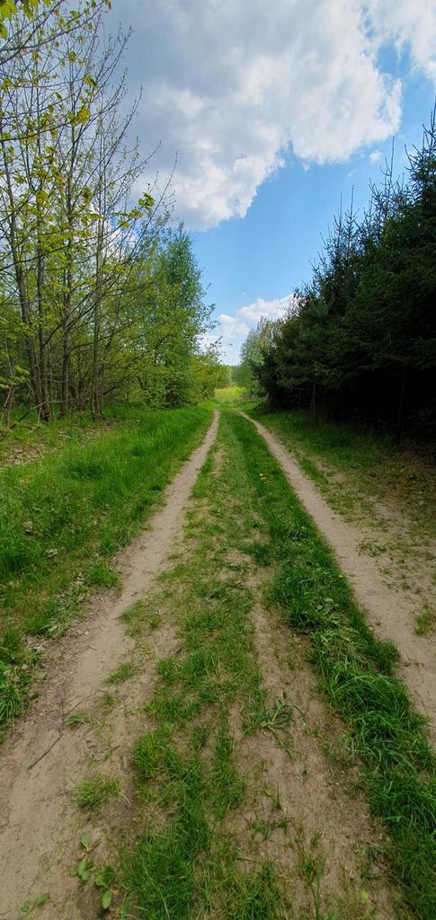 Działka na sprzedaż Marszewo 3 012 m2 | Arka Nieruchomości