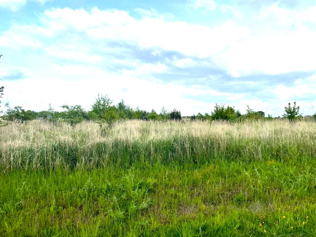 Działka na sprzedaż Kłodowo 1 035 m2 | Arka Nieruchomości