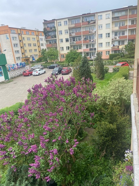 Mieszkanie na wynajem Szczecin, Zawadzkiego 51 m2 | Arka Nieruchomości