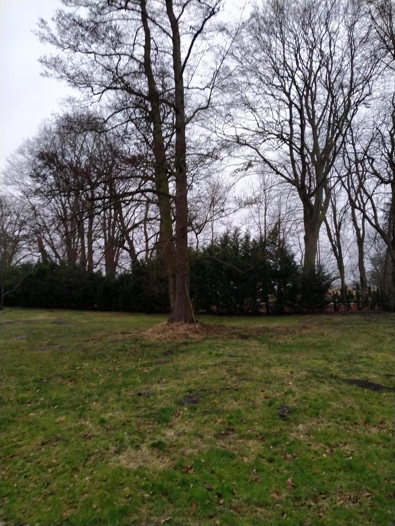 Działka na sprzedaż Rzędziny 2 625 m2 | Arka Nieruchomości