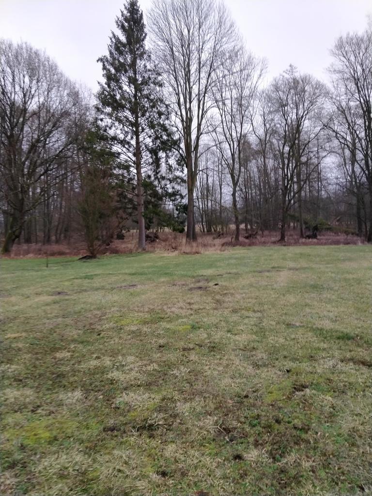 Działka na sprzedaż Rzędziny 2 625 m2 | Arka Nieruchomości