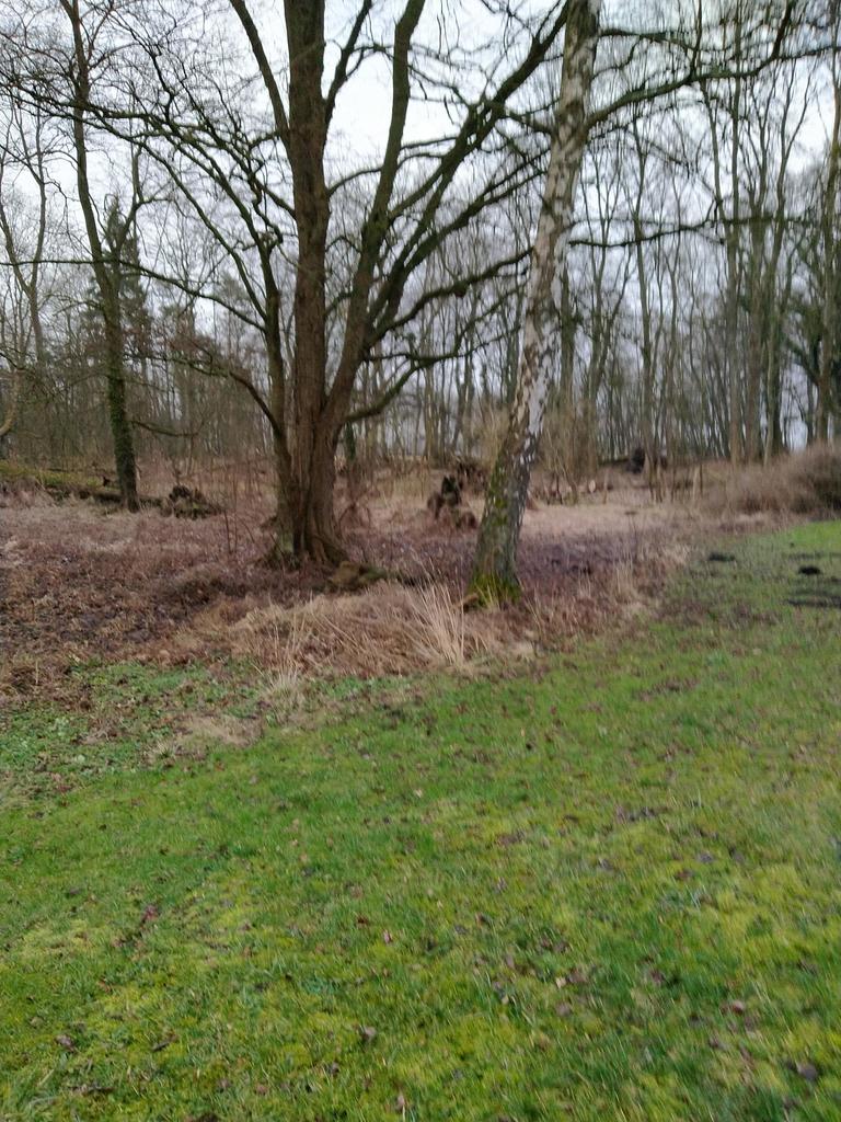 Działka na sprzedaż Rzędziny 2 625 m2 | Arka Nieruchomości