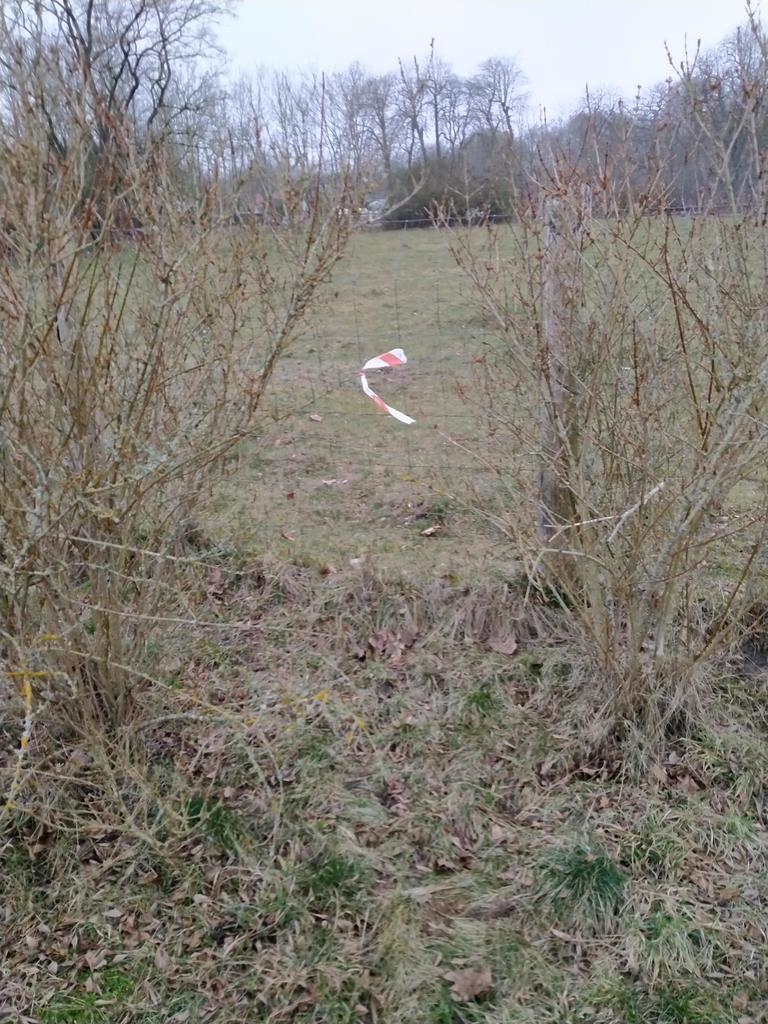 Działka na sprzedaż Rzędziny 2 625 m2 | Arka Nieruchomości