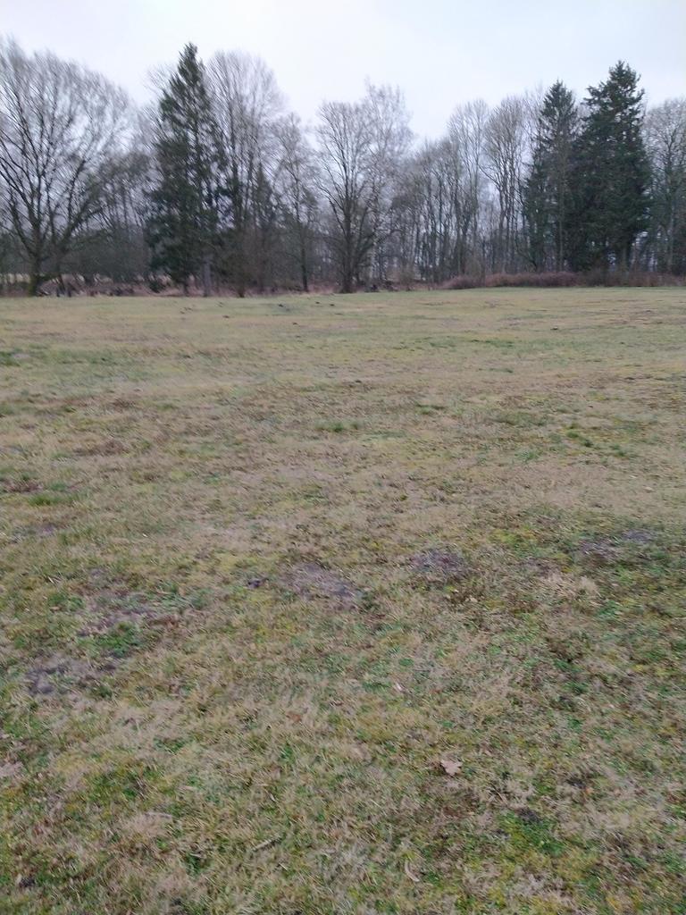 Działka na sprzedaż Rzędziny 2 625 m2 | Arka Nieruchomości