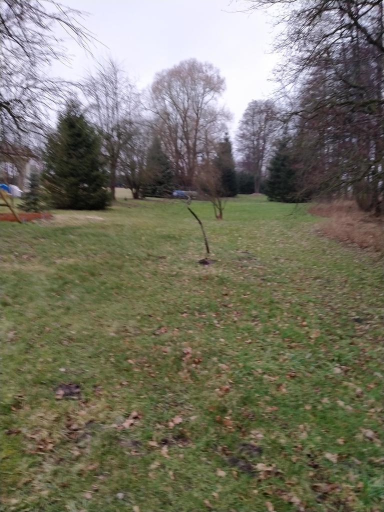 Działka na sprzedaż Rzędziny 2 625 m2 | Arka Nieruchomości