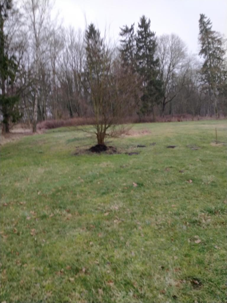 Działka na sprzedaż Rzędziny 2 001 m2 | Arka Nieruchomości