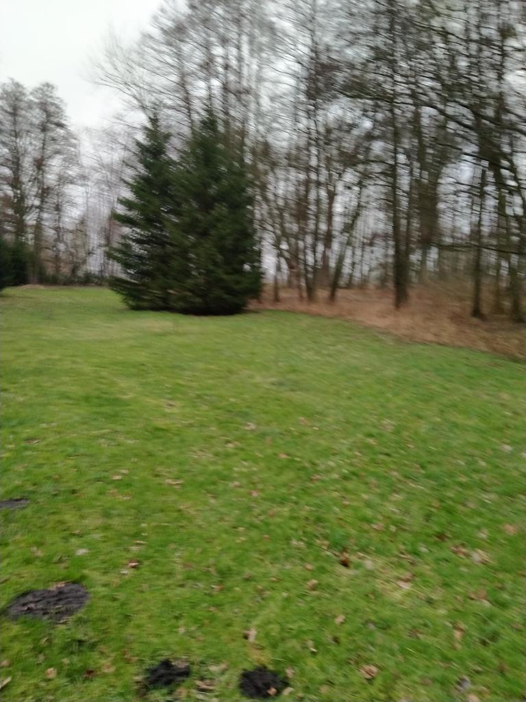 Działka na sprzedaż Rzędziny 2 000 m2 | Arka Nieruchomości