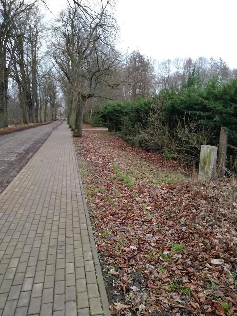 Działka na sprzedaż Rzędziny 2 000 m2 | Arka Nieruchomości