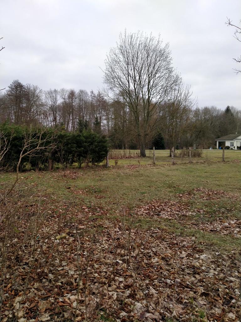 Działka na sprzedaż Rzędziny 2 000 m2 | Arka Nieruchomości