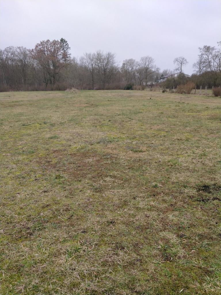 Działka na sprzedaż Rzędziny 2 000 m2 | Arka Nieruchomości