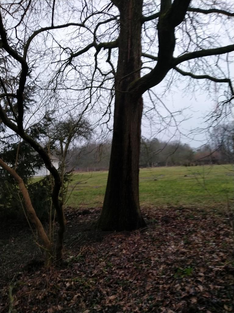 Działka na sprzedaż Rzędziny 2 000 m2 | Arka Nieruchomości