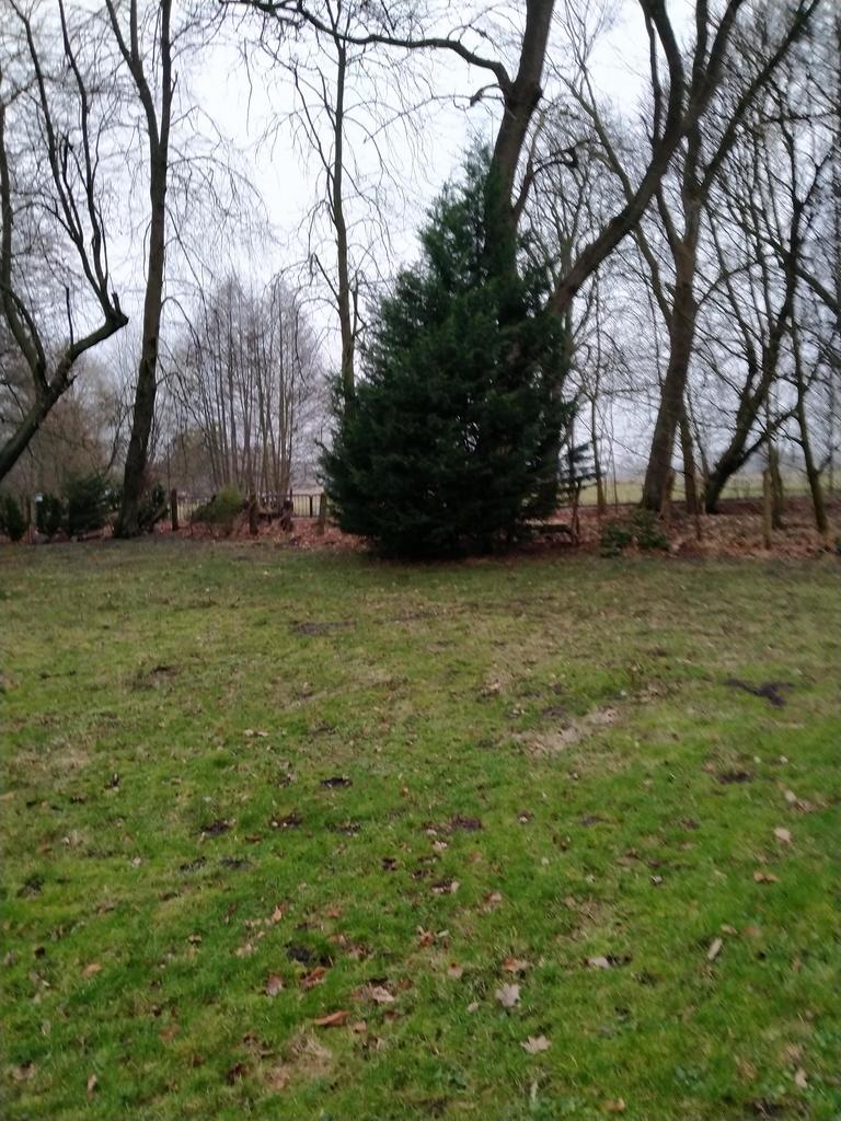 Działka na sprzedaż Rzędziny 2 041 m2 | Arka Nieruchomości