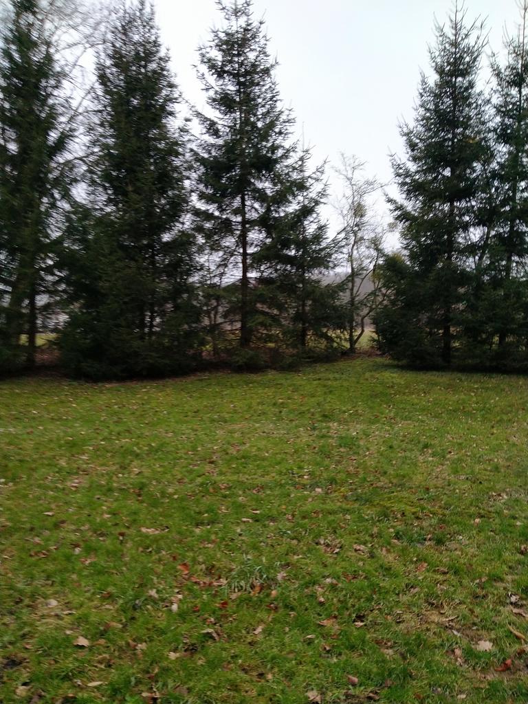 Działka na sprzedaż Rzędziny 2 041 m2 | Arka Nieruchomości