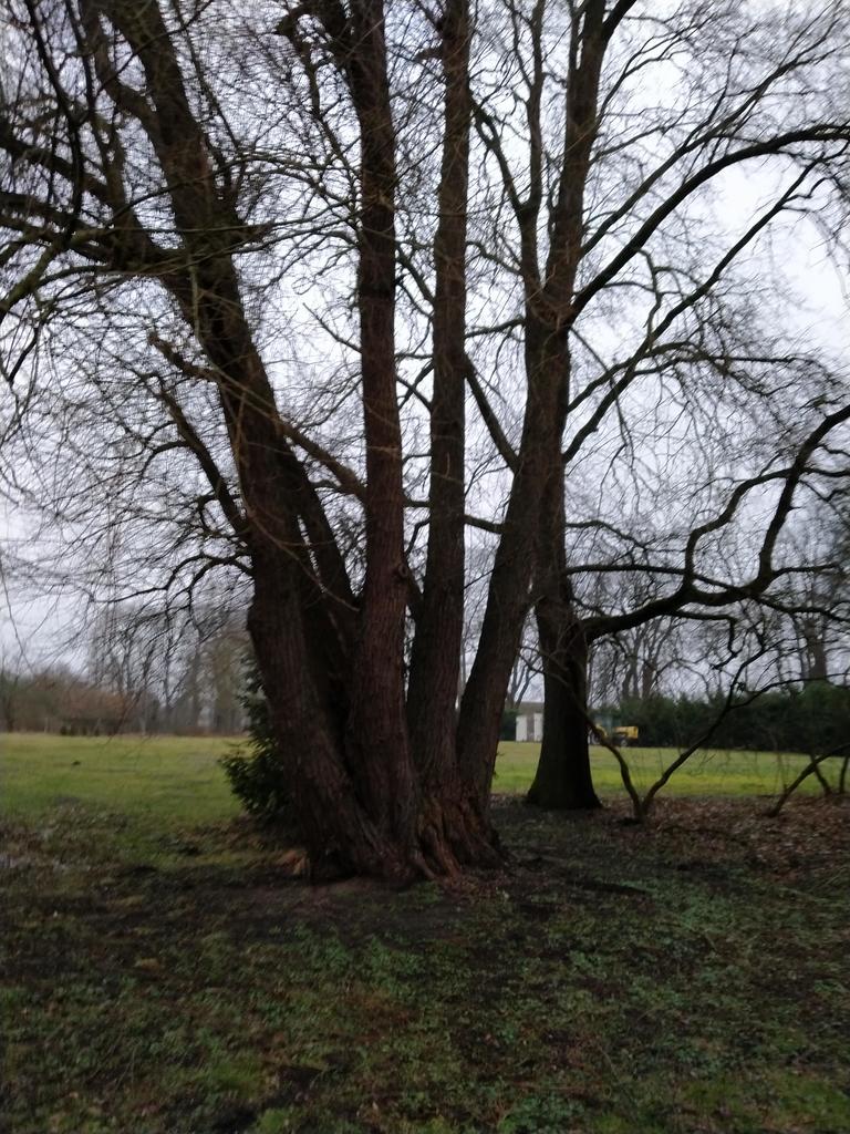 Działka na sprzedaż Rzędziny 2 041 m2 | Arka Nieruchomości