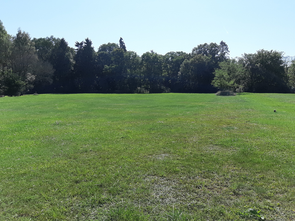 Działka na sprzedaż Rzędziny 2 041 m2 | Arka Nieruchomości