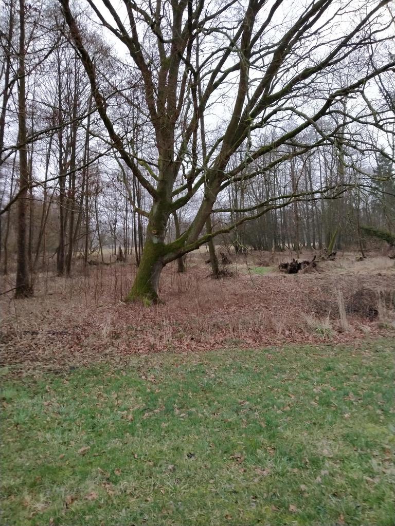 Działka na sprzedaż Rzędziny 2 041 m2 | Arka Nieruchomości