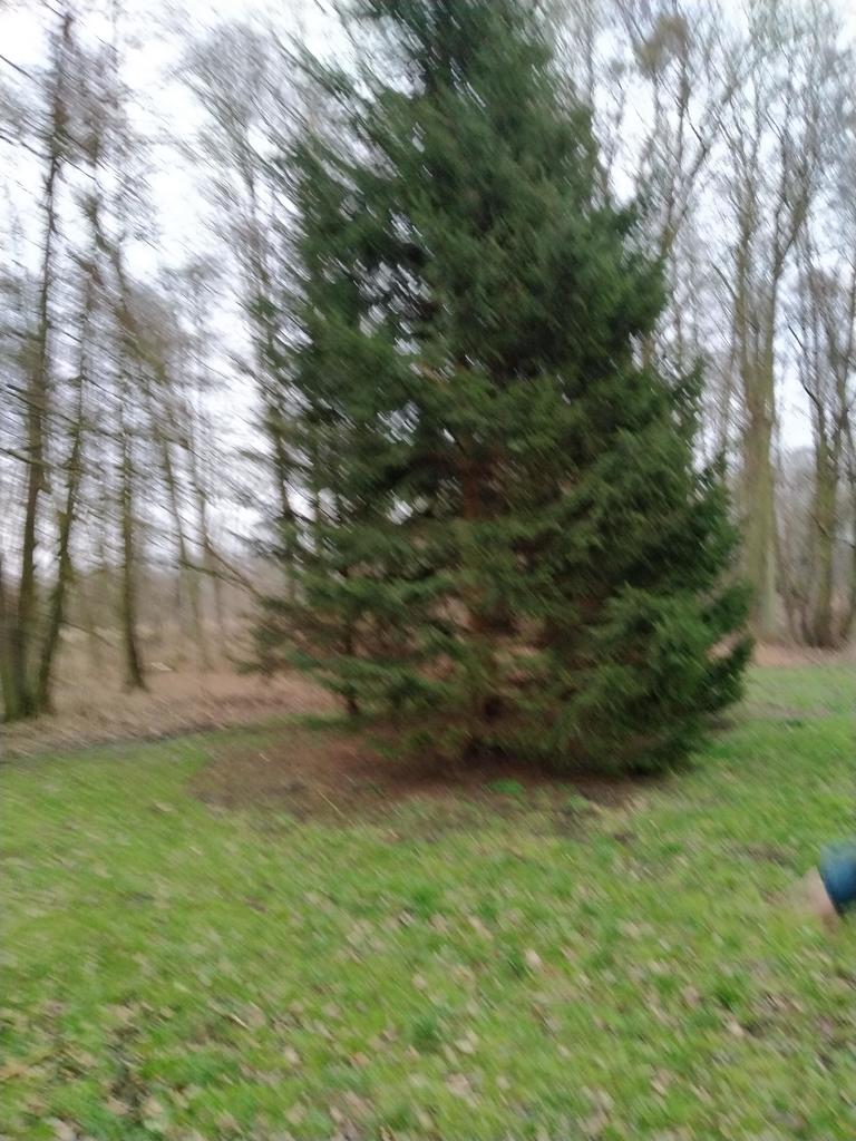 Działka na sprzedaż Rzędziny 2 041 m2 | Arka Nieruchomości