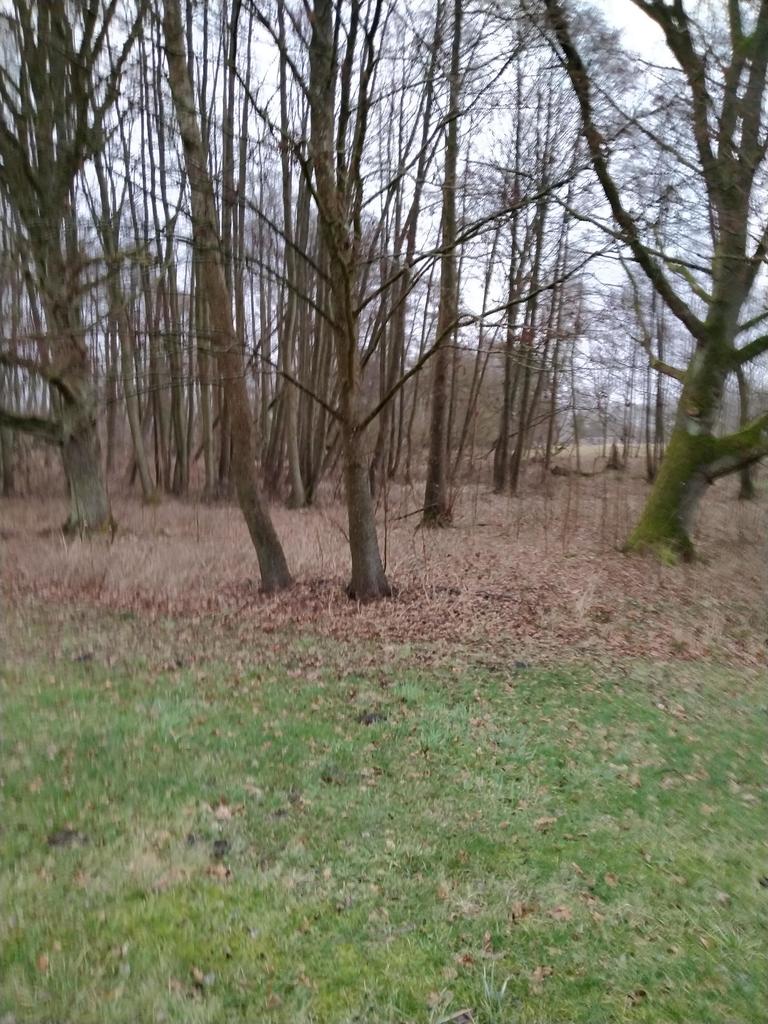 Działka na sprzedaż Rzędziny 2 041 m2 | Arka Nieruchomości