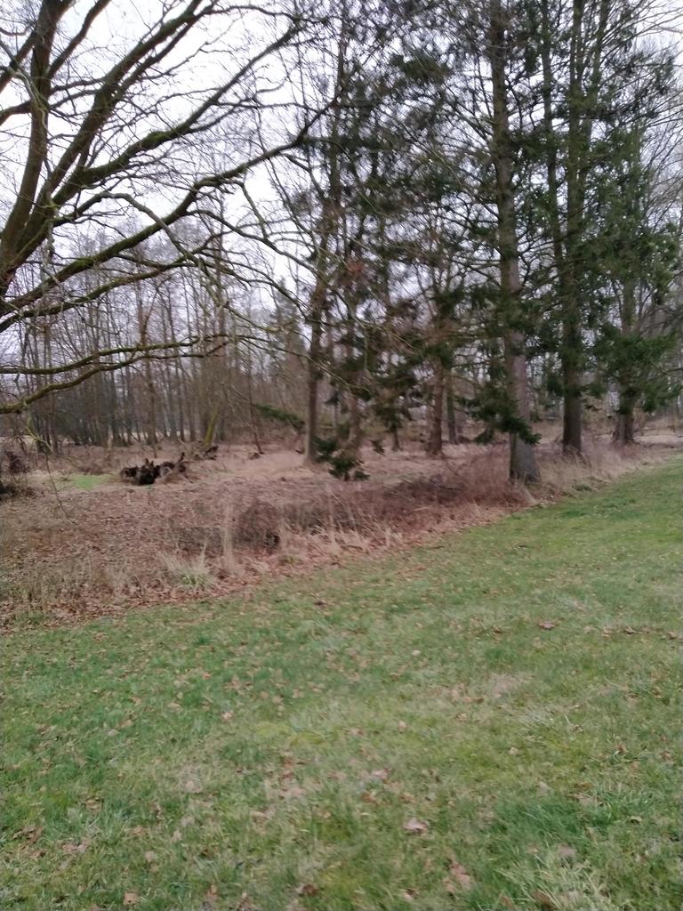 Działka na sprzedaż Rzędziny 2 041 m2 | Arka Nieruchomości