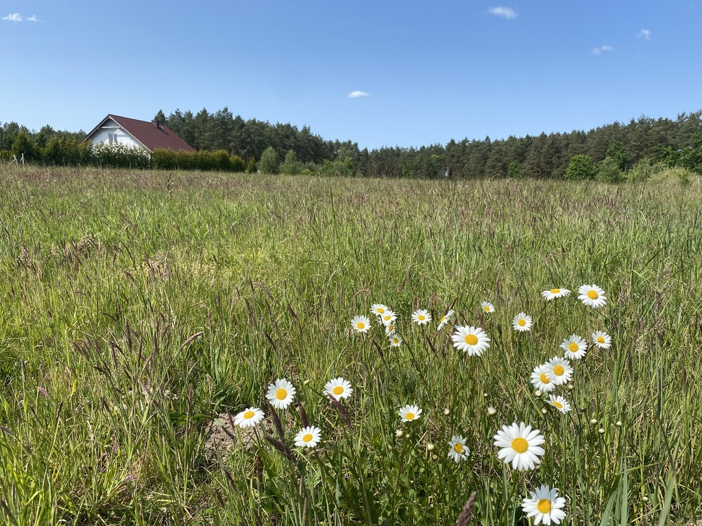 Działka na sprzedaż Przybiernów 3 004 m2 | Arka Nieruchomości