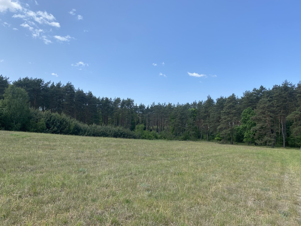 Działka na sprzedaż Przybiernów 3 004 m2 | Arka Nieruchomości
