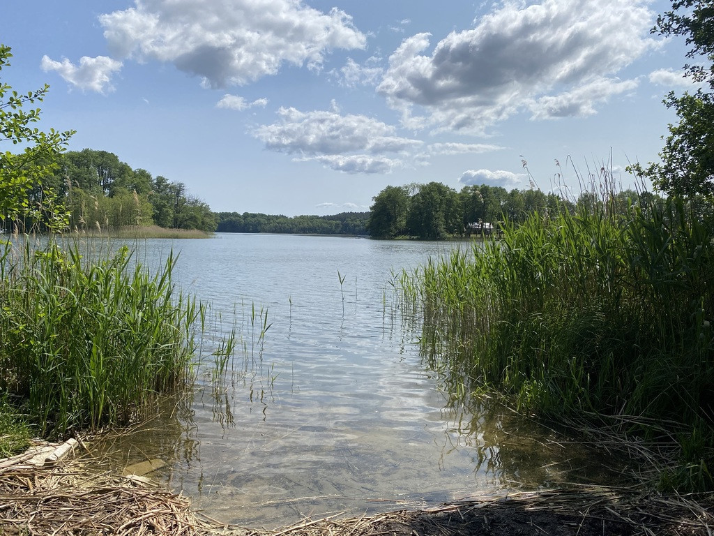 Działka na sprzedaż Przybiernów 3 004 m2 | Arka Nieruchomości