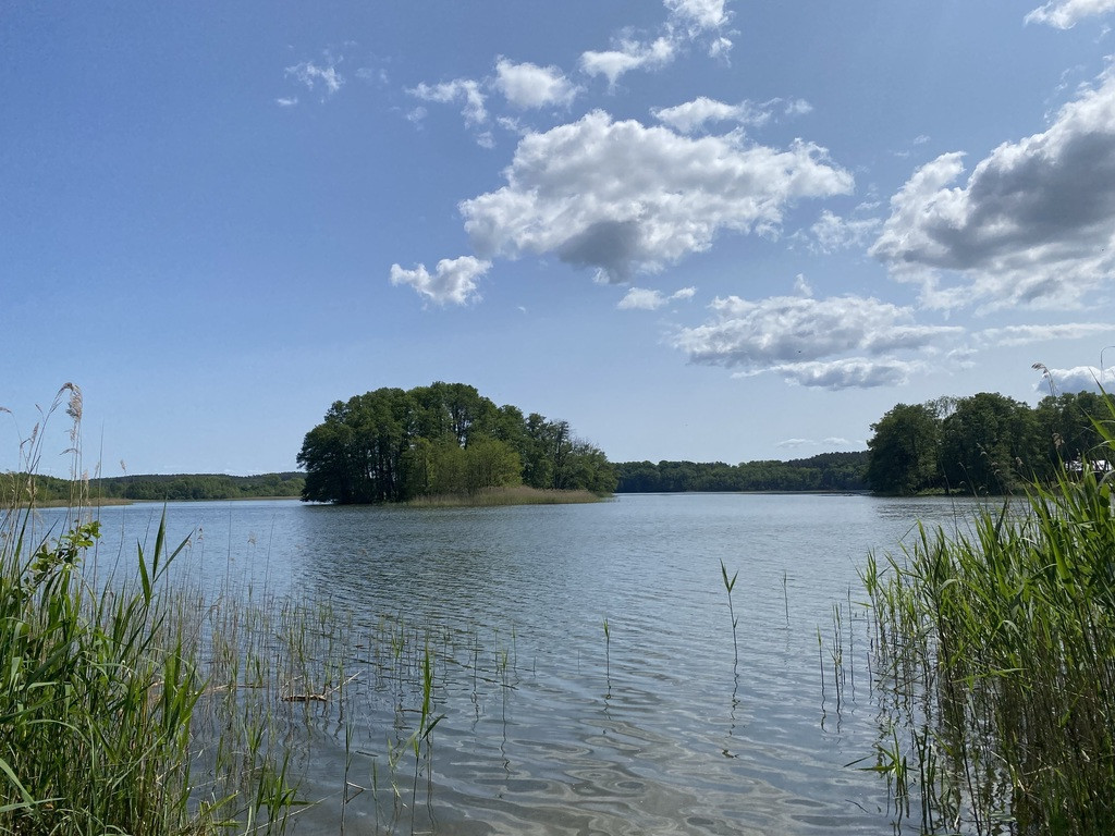Działka na sprzedaż Przybiernów 3 004 m2 | Arka Nieruchomości