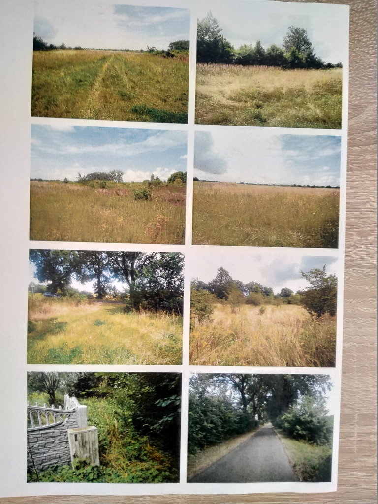 Działka na sprzedaż Giżyn 3 670 m2 | Arka Nieruchomości