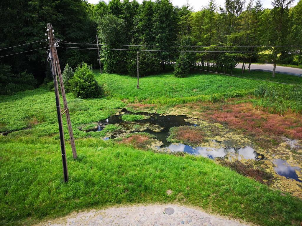 Obiekt na sprzedaż Sławoborze 550 m2 | Arka Nieruchomości