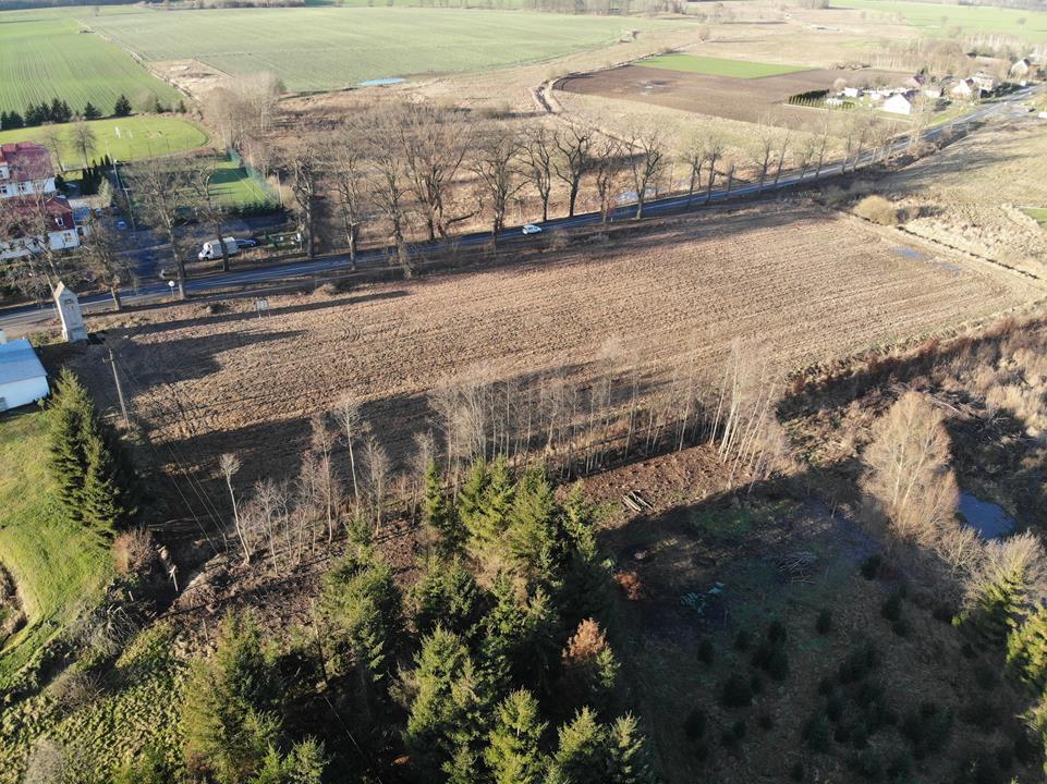 Działka na sprzedaż Dębice 970 m2 | Arka Nieruchomości