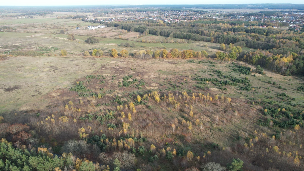 Działka na sprzedaż Buk 1 031 m2 | Arka Nieruchomości