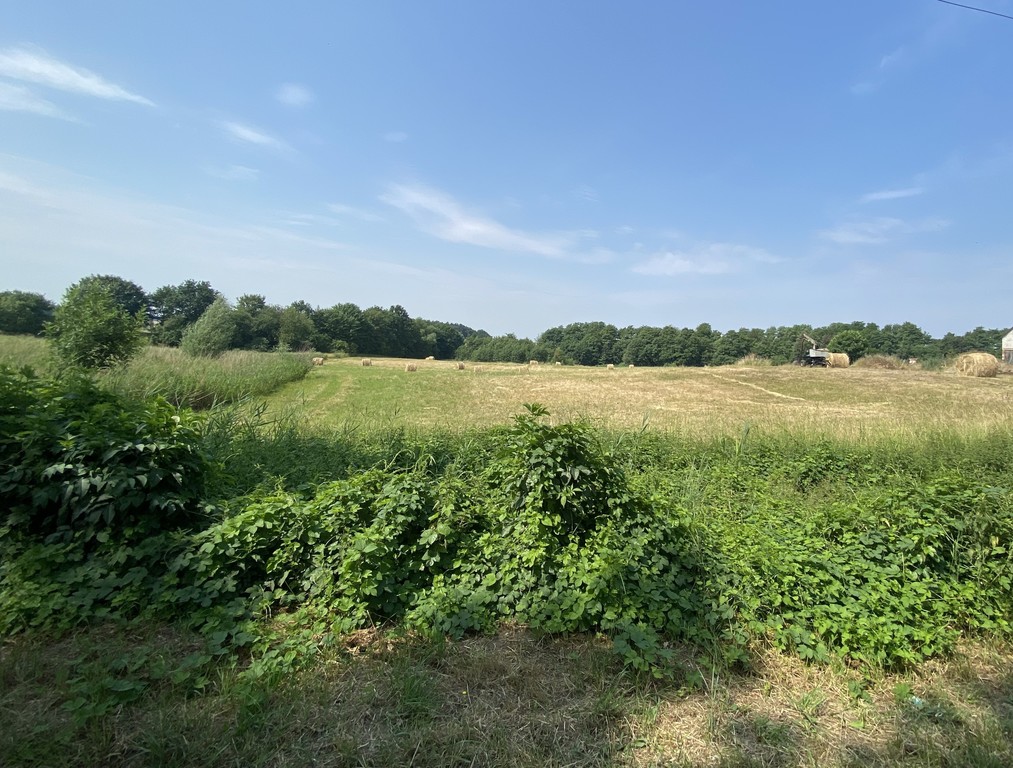 Działka na sprzedaż Glinna 1 455 m2 | Arka Nieruchomości