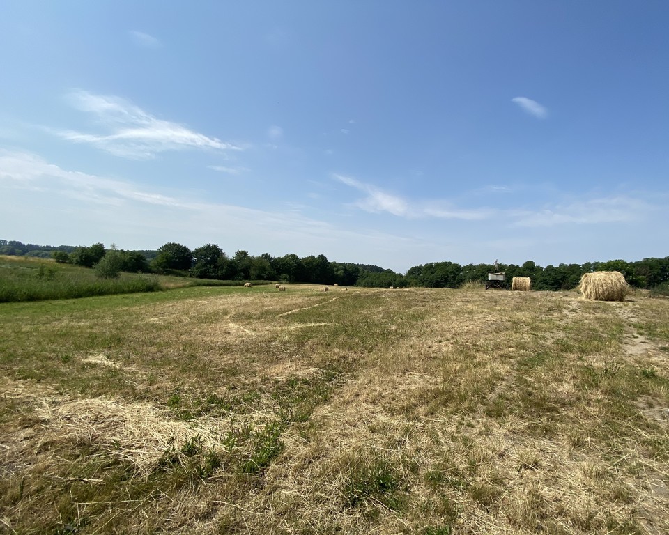 Działka na sprzedaż Glinna 1 455 m2 | Arka Nieruchomości