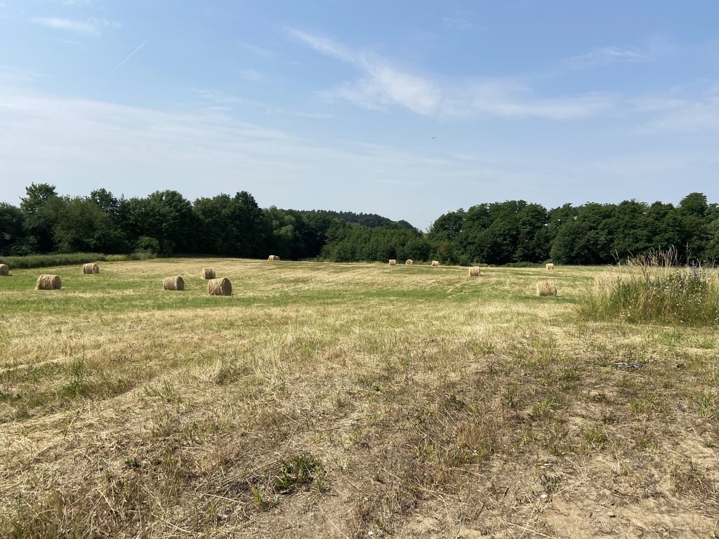 Działka na sprzedaż Glinna 829 m2 | Arka Nieruchomości