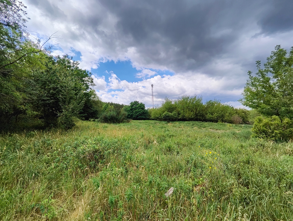 Działka na sprzedaż Sierakowo 21 900 m2 | Arka Nieruchomości