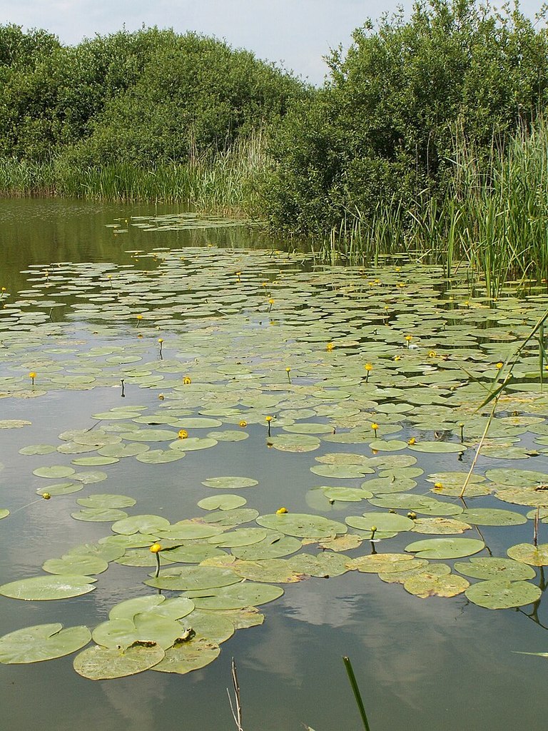 Działka na sprzedaż Giżyn 3 000 m2 | Arka Nieruchomości