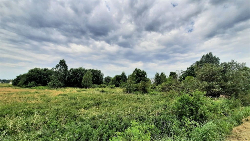 Działka na sprzedaż Szczecin, Wielgowo 5 181 m2 | Arka Nieruchomości