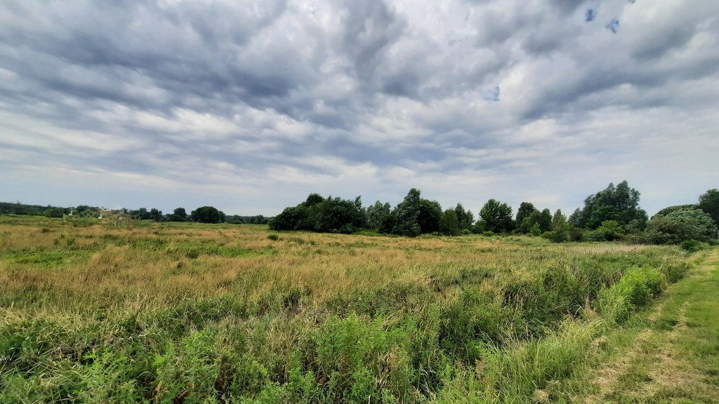 Działka na sprzedaż Szczecin, Wielgowo 5 181 m2 | Arka Nieruchomości