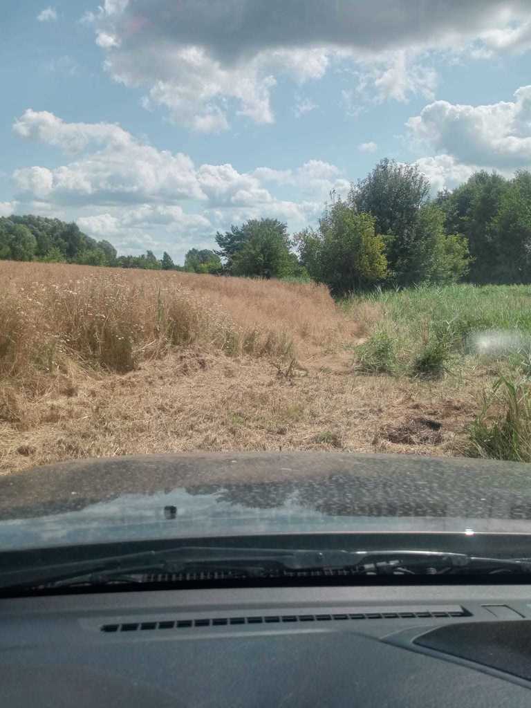 Działka na sprzedaż Stara Dąbrowa 1 492 m2 | Arka Nieruchomości