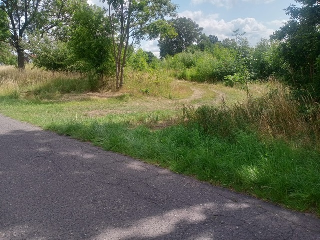 Działka na sprzedaż Stara Dąbrowa 1 492 m2 | Arka Nieruchomości