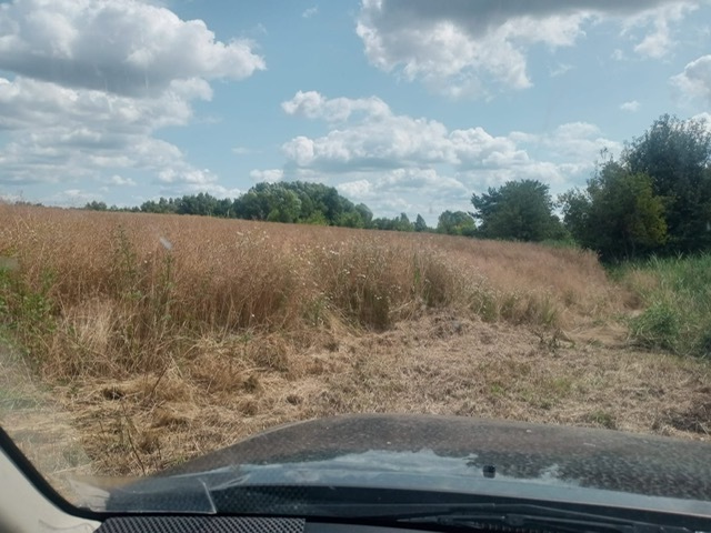 Działka na sprzedaż Stara Dąbrowa 1 492 m2 | Arka Nieruchomości