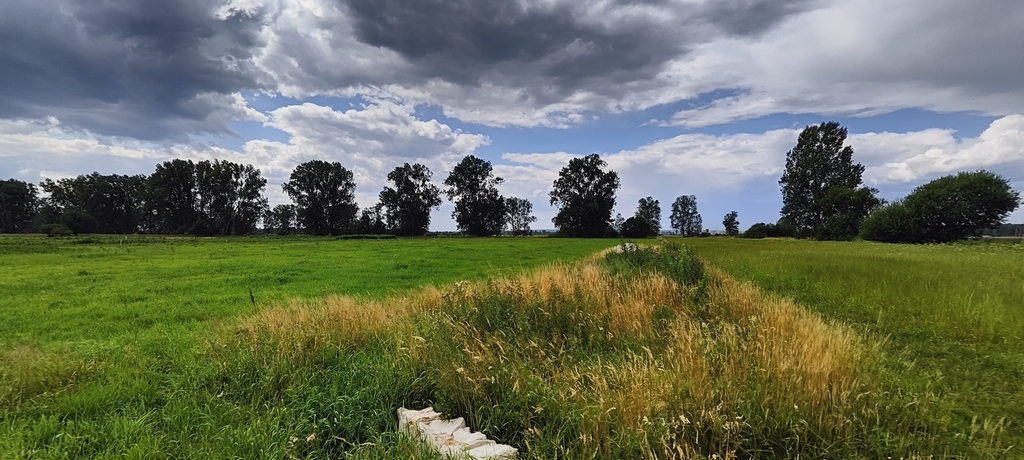 Działka na sprzedaż Rurzyca 1 788 m2 | Arka Nieruchomości