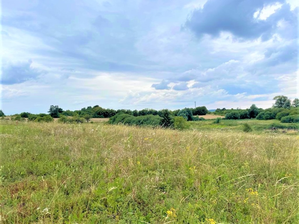 Działka na sprzedaż Gryfino 997 m2 | Arka Nieruchomości